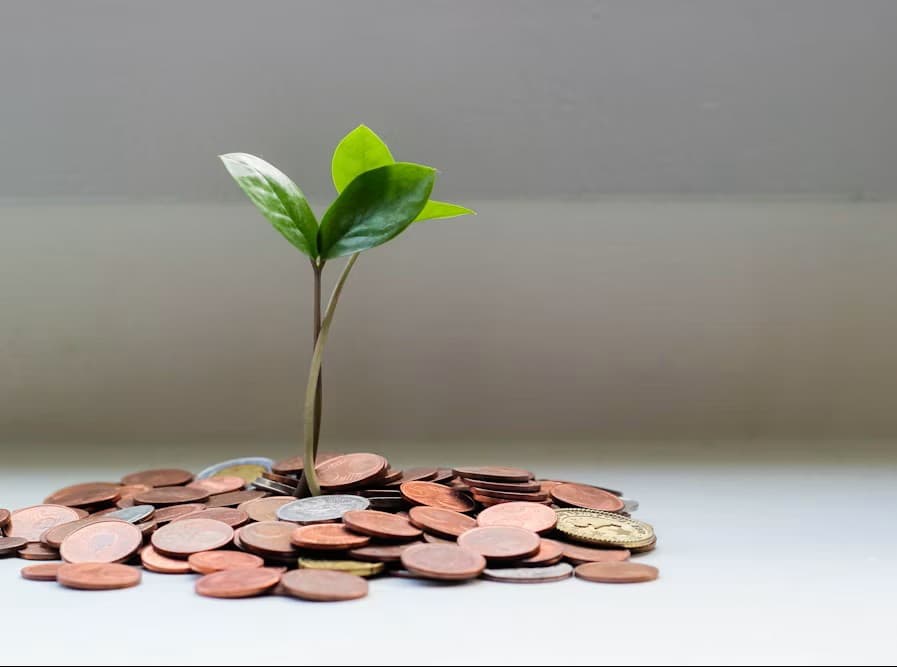 Financial Consultation